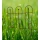 ogrodzenie palisada dekoracyjne obrzeże podpora pergola podpora 60x60cm polski